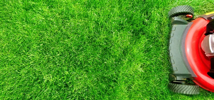 Scène extérieure de tonte de pelouse sur gazon vert dense et uniforme