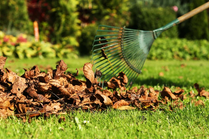 Scène extérieure de jardinage automnal avec tas de feuilles mortes brunes accumulées sur pelouse verte