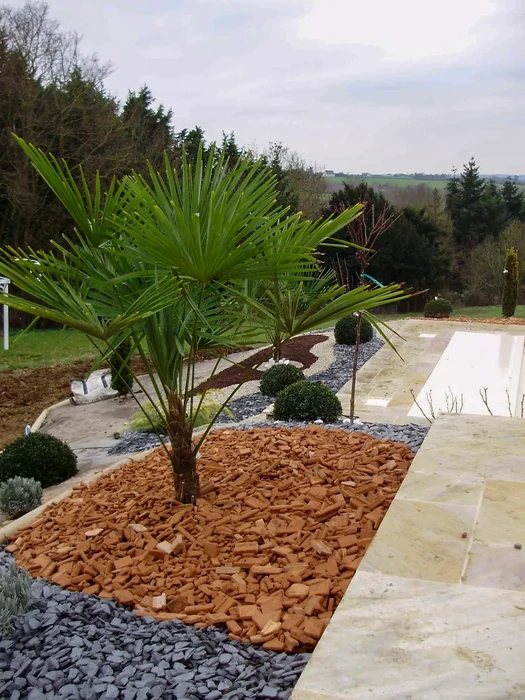 Jardin paysager extérieur avec massif ornemental