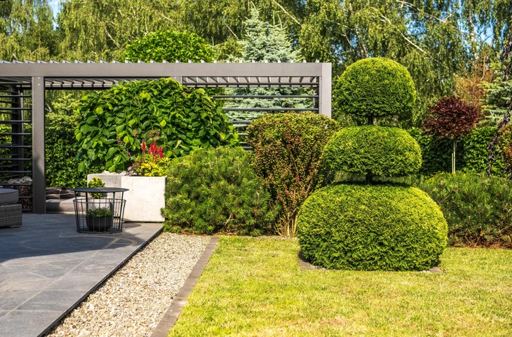 Vue sur une arrière-cour bien entretenue avec pergola et verdure luxuriante
