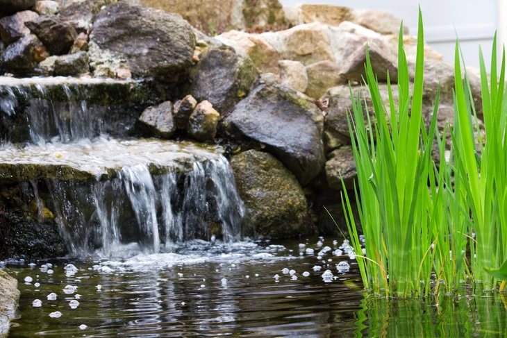 Cascade d'eau artificielle dans un jardin d'ornement avec bassins étagés en pierre naturelle