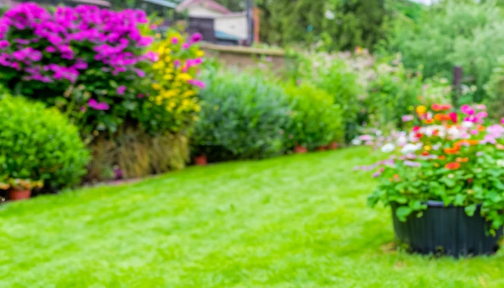 Jardin résidentiel avec pelouse verte entretenue, massifs de fleurs colorées incluant bougainvilliers roses, plantations en bacs et bordures paysagères