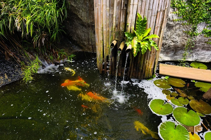Bassin aquatique extérieur avec carpes koï orange et jaunes, fontaine bambou à jets d'eau multiples, nénuphars verts flottants