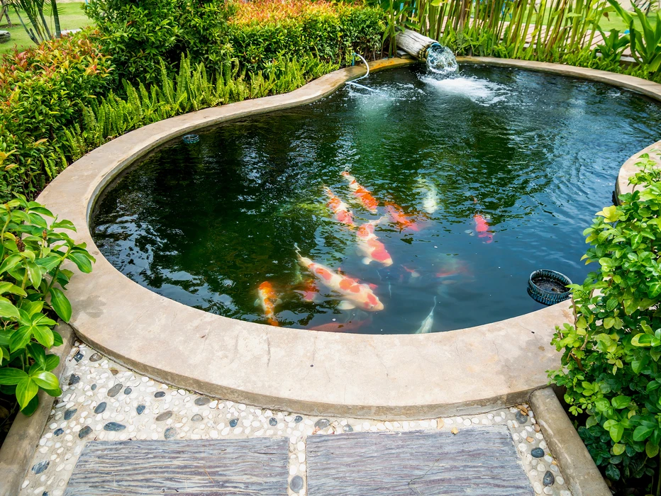 Jardin paysager avec bassin ornemental et statue classique