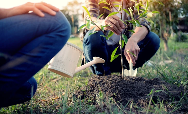 Scène extérieure de jardinage : deux personnes plantent un jeune arbre