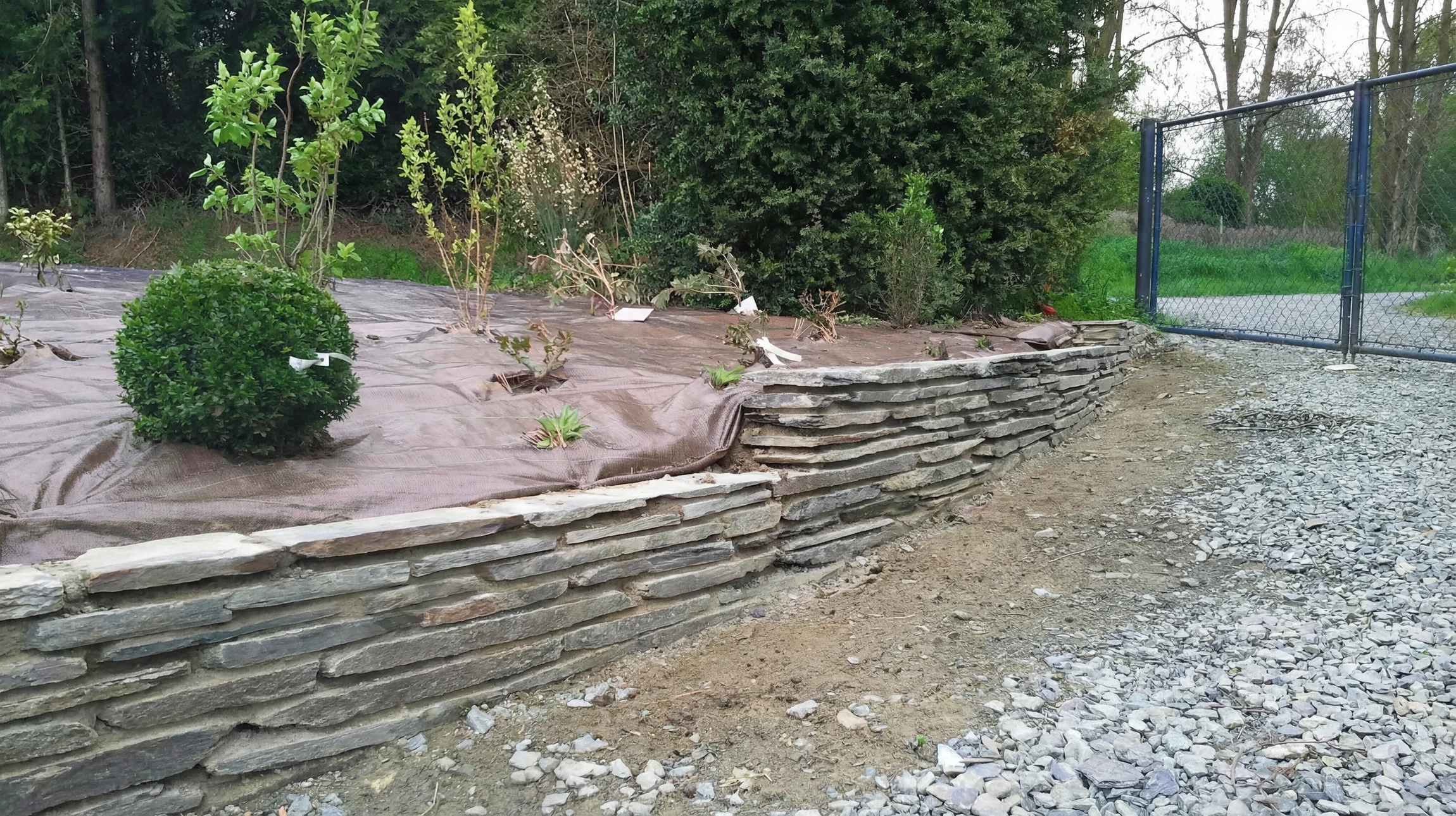 Jardin paysager méditerranéen avec allée courbe pavée en béton et briques rouges