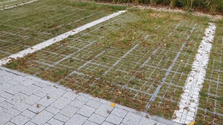 Jardin paysager sur toit-terrasse avec allée centrale dallée menant vers bâtiments modernes