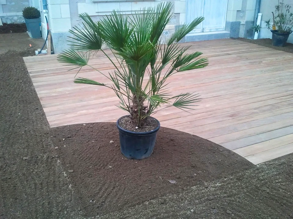 Mobilier élégant sur terrasse en bois dans un beau jardin vert