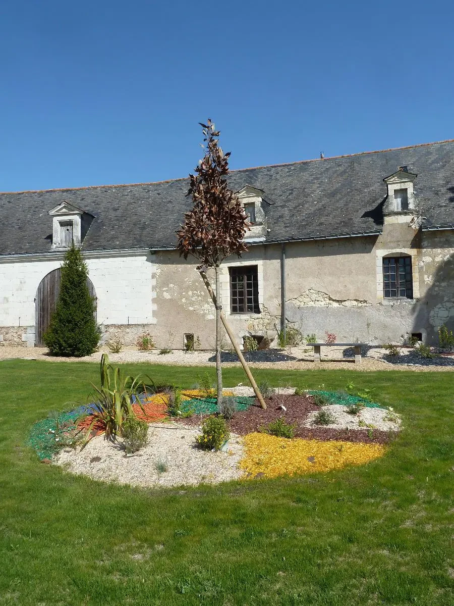 Jardin en aménagement extérieur, vue de jour