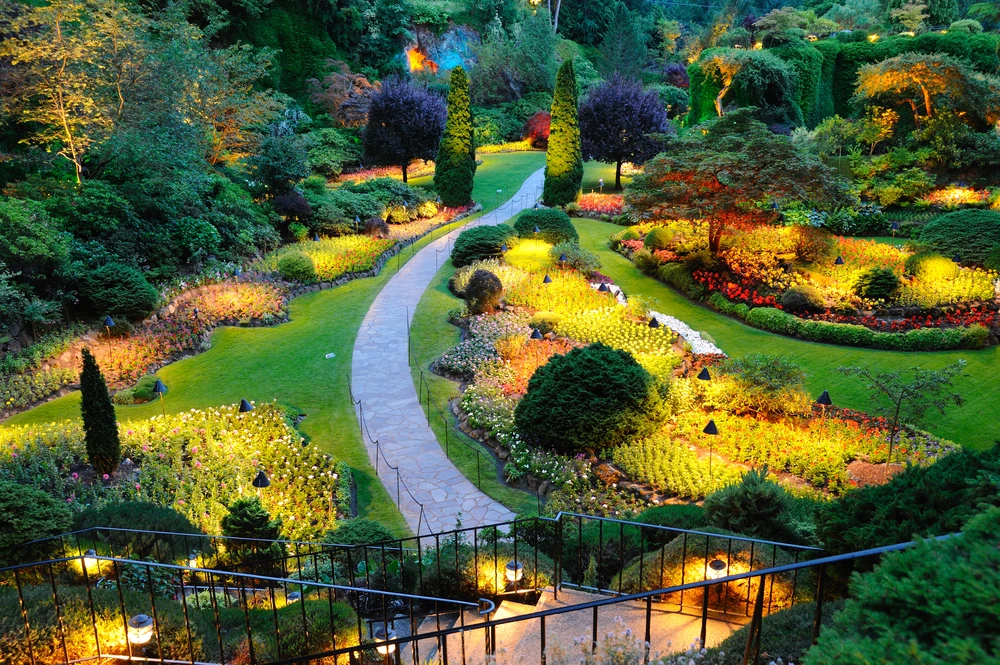Jardin résidentiel avec pelouse verte entretenue, massifs de fleurs colorées incluant bougainvilliers roses, plantations en bacs et bordures paysagères
