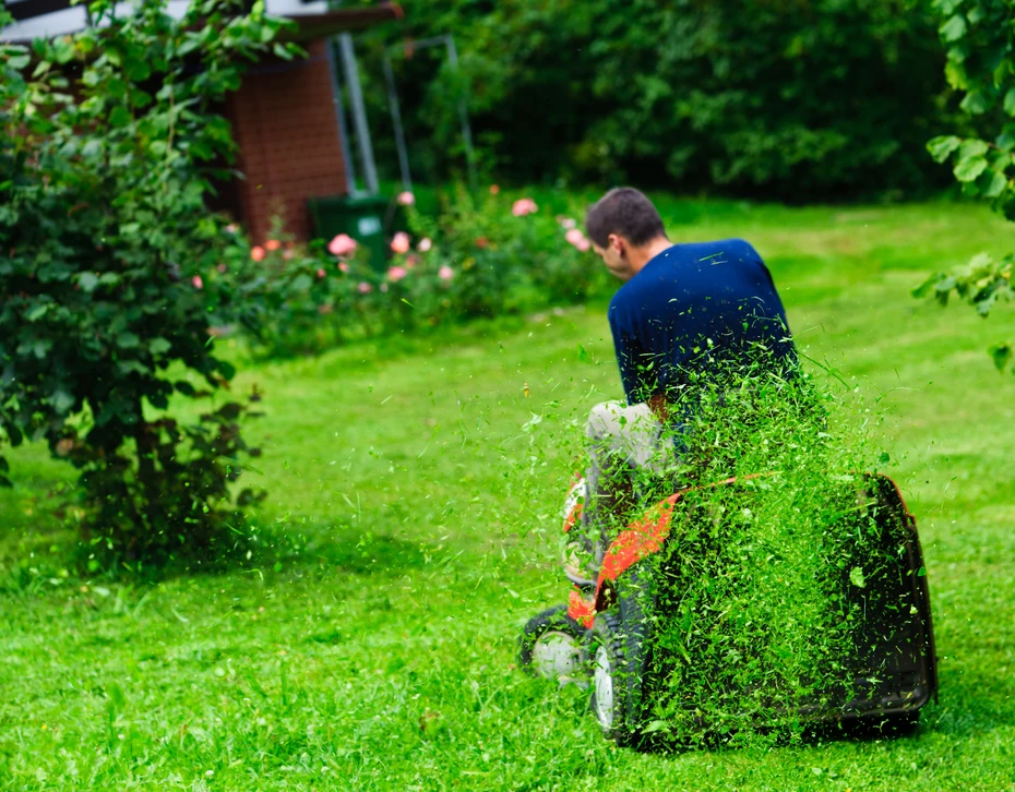 Scène extérieure d'entretien d'espaces verts avec opérateur utilisant débroussailleuse thermique sur terrain herbeux